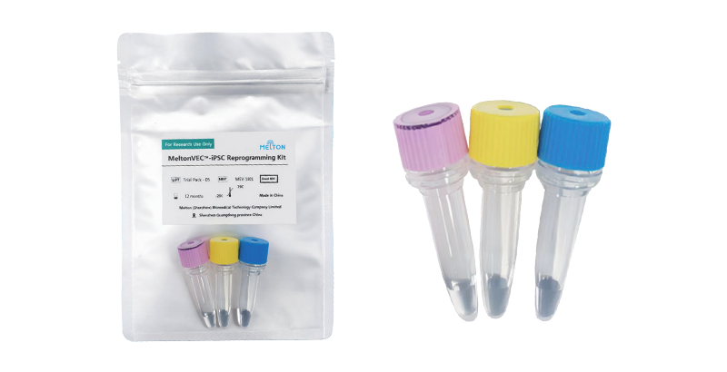 仙台病毒诱导多能干细胞（iPSC）重编程试剂盒（MSV1001-2）